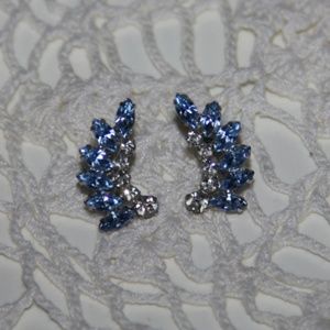 B. David Blue And Clear Rhinestone Screw Backs